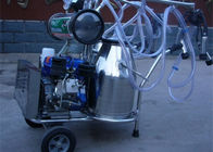 محرك الديزل مزدوجة دلو آلة البقرة الحلوب مع محرك كهربائي / النابض